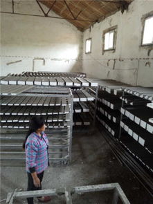 武漢安德裝飾材料廠攜手阿土伯網(wǎng)，開(kāi)啟建筑裝飾材料熱賣(mài)促銷盛宴